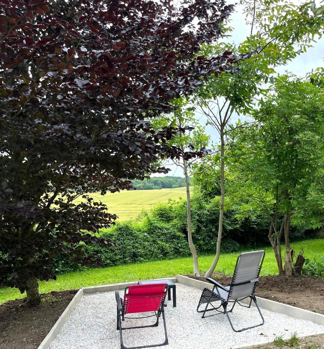 Bed and Breakfast La Demeure D'Othe à Sormery Extérieur photo